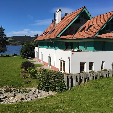 Lipno Riviera - Mysi V Bote Apartment *