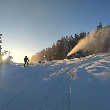Lipno Riviera - Mysi V Bote *