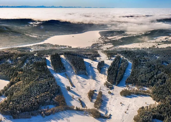 Lipno Riviéra - Myši V Botě Lipno nad Vltavou