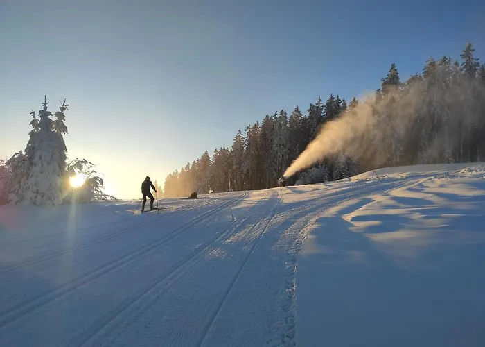 Lipno Riviéra - Myši V Botě *